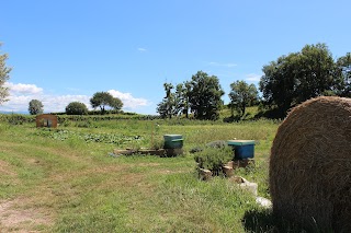 Il Campetto Fattoria Didattica