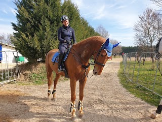 Centro Di Equitazione Al.Cle