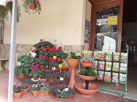 Fiori e Decori Impresa Funebre