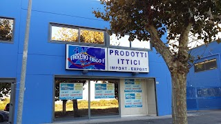 Tirreno Frigo srl - Grossista del pesce - Centro commerciale pesce