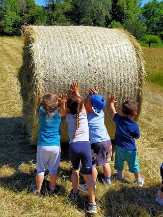 Le Piccole Stelle Nido in Famiglia