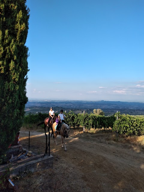 Centro Equestre Il Baio Oscuro