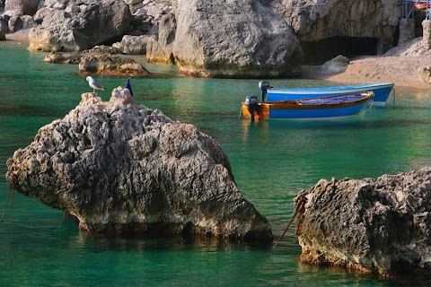 Tours in Sorrento