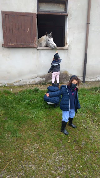 Agri Zoo | Articoli per animali a Piacenza