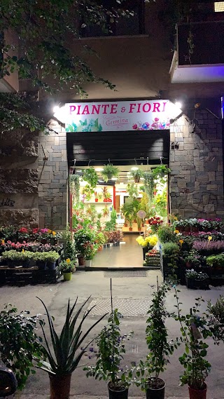 Fioraio Malatesta Pigneto “Piante e fiori Germina”