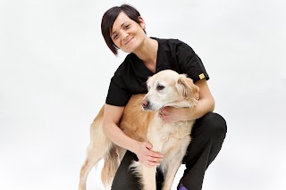 Petlife Clinica Veterinaria