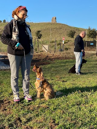 Scuola Cinofila Francesca Melchiorre centro Cinofilo Asilo cani