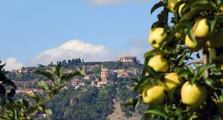 Azienda Agricola L'Orto Smeraldo