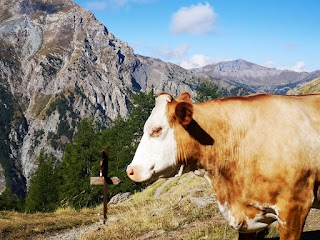 Parco naturale Val Troncea