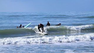 ASD FREE SURFING ITALIA