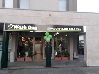 Toelettatura Wash Dog Ravenna , lavaggio self-service e servizio a domicilio