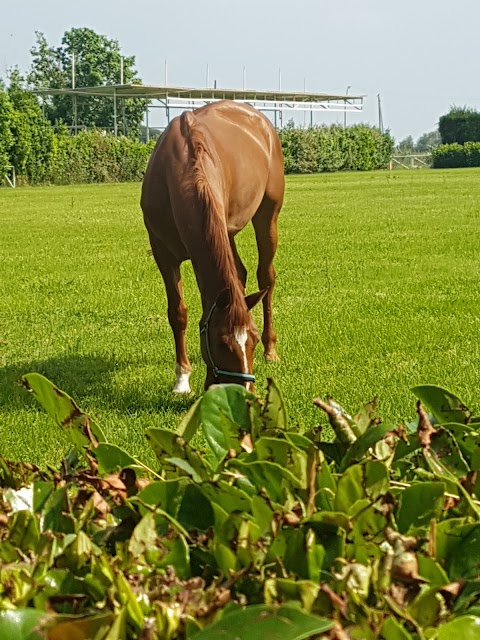 Centro Equestre Ninfa