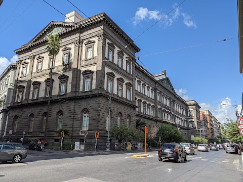 Università degli Studi di Napoli Federico II