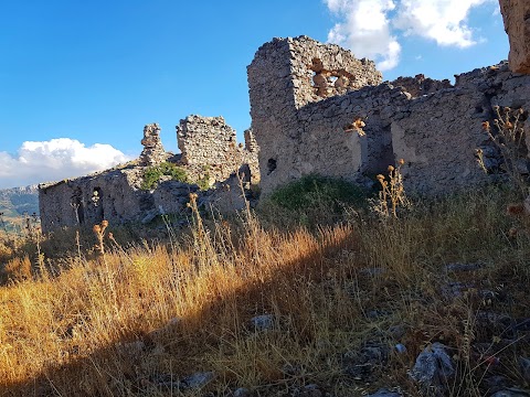 Bosco Di Casaboli