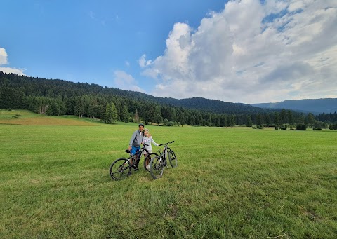 Azienda per Il Turismo Alpecimbra