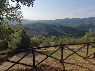 Camere e Appartamenti Baldini Romanita