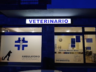 Ambulatorio veterinario Dott.ssa Moroni Silvia