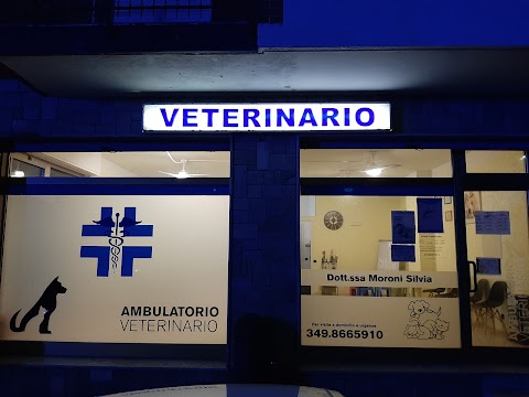 Ambulatorio veterinario Dott.ssa Moroni Silvia