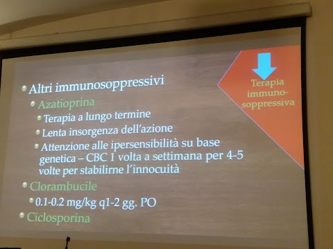 "La Fiorita" - Scuola dell'Infanzia paritaria e asilo nido