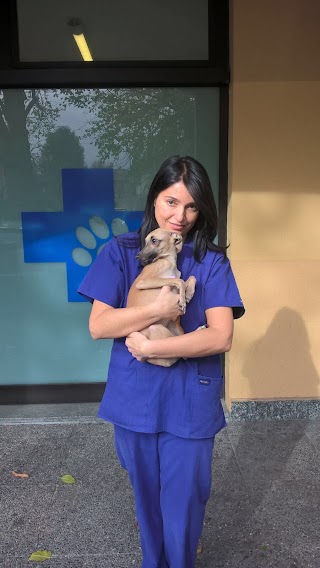 Ambulatorio Veterinario Dr. Anselmi Angelo