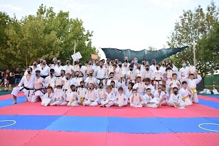 Sakura Dojo