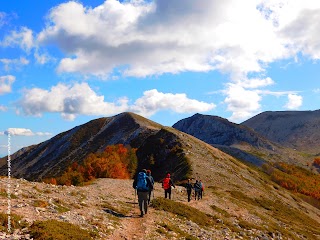 Sistema Natura - Servizi per l'educazione ambientale e il turismo naturalistico