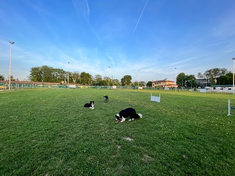 Centro Cinofilo La Scuola di Fido ASD