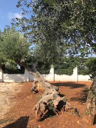 Masseria Gravinella