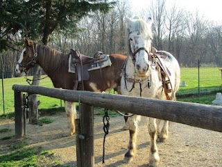 Passeggiate Cavallo Ranch Arcore