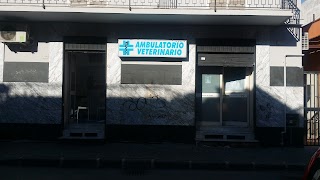 Ambulatorio veterinario