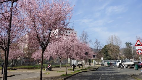 Parco XXV Aprile