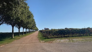 Azienda Agricola Castelvecchio