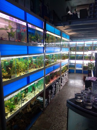 Aquarium Zoo