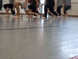 Nuova Danza di Alessandra Medina