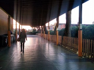 Scuola dell'Infanzia Scintille di fantasia