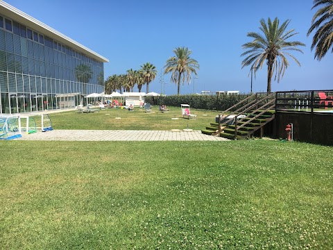 Piscina Olimpica Comunale “Carlo Zanelli”