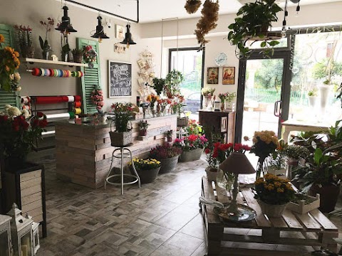 Flower store di Orobello Germana