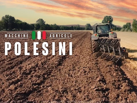 Polesini Aratri e Macchine Agricole