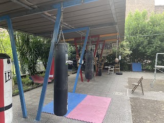 Manuel mazzocchi fighting school