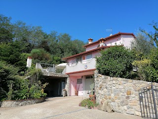 Casa Rosa