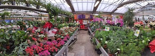 Forlini Garden Center