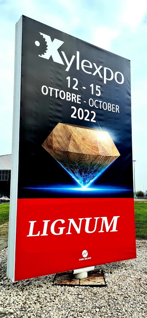 Lignum Verona