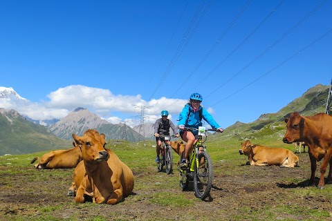 Alp In Bike Tour e Esperienze Valle d'Aosta