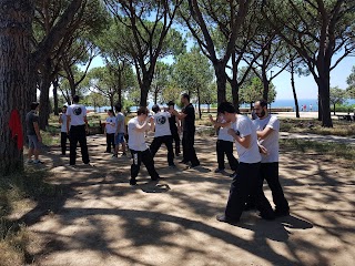 Wing Chun Kung Fu Martial Art Association - WKMA