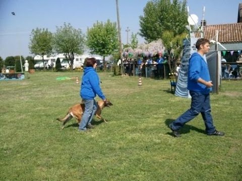 Addestramento Cani Menozzi