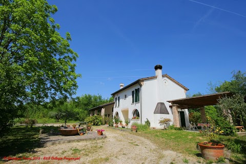 B&B Collegio dei Palazzi