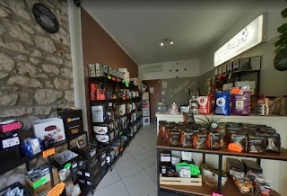 Capsule e cialde Coffeeland Verona