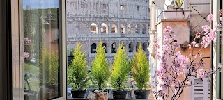 Colosseo View Luxury