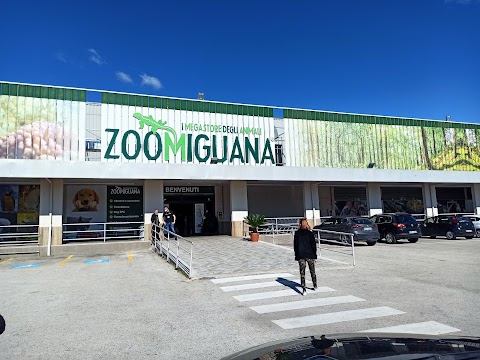 Zoomiguana Park