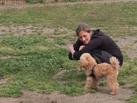 Centro di Educazione del Cane CANI ED EMOZIONI